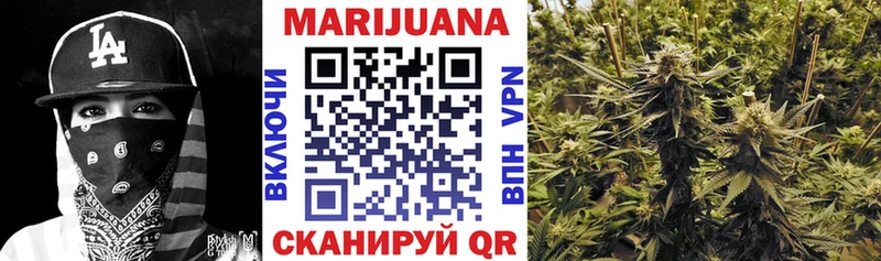 Каннабис конопля Задонск